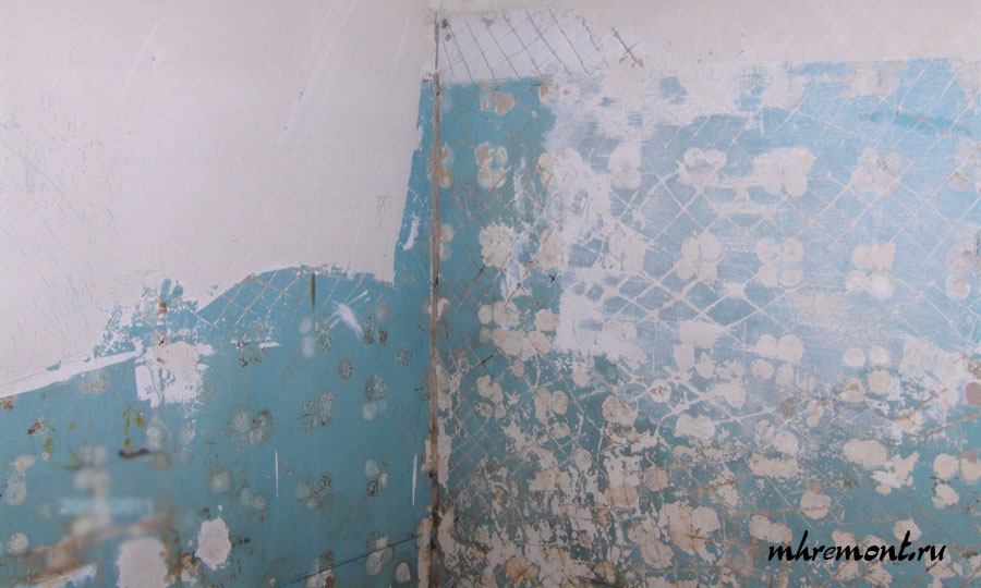 Укладка плитки на окрашенную стену: основные проблемы и способы их решения, способы удаления краски